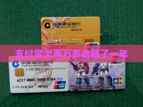 支付宝欠两万多逾期了一年