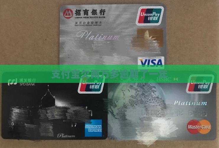 支付宝欠两万多逾期了一年