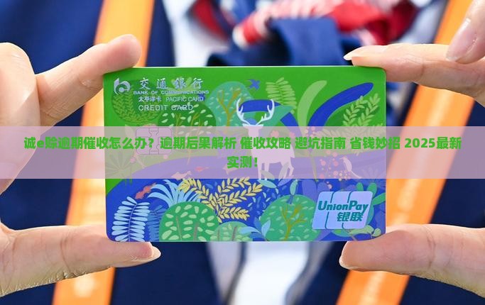 阿里巴巴诚e赊逾期催收