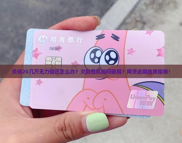 负债20几万无力偿还应该怎么办