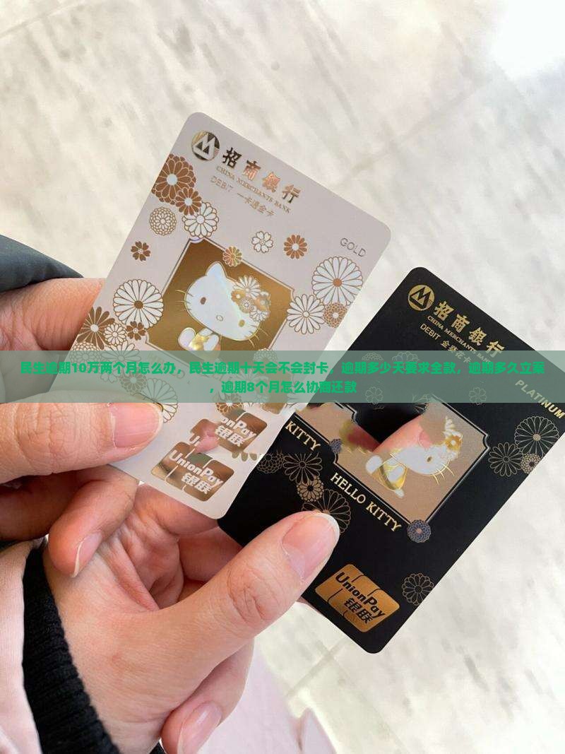 民生逾期10万两个月怎么办