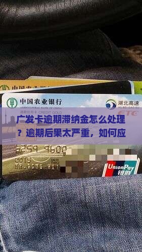 广发卡逾期滞纳金怎么处理