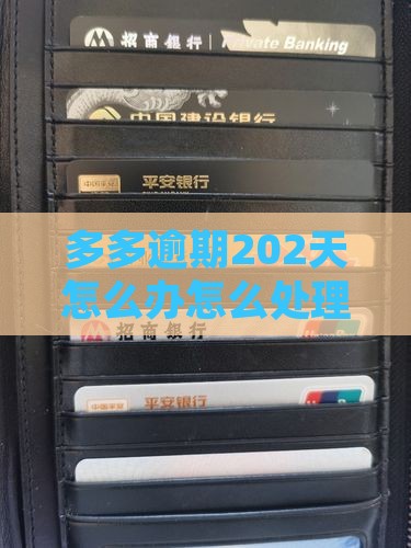 桔多多逾期202天怎么办