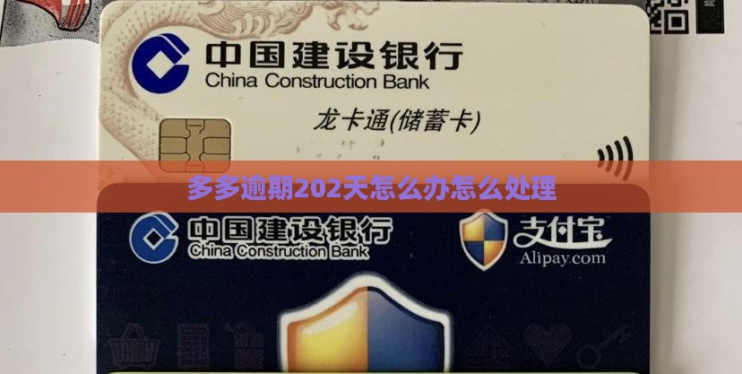 桔多多逾期202天怎么办