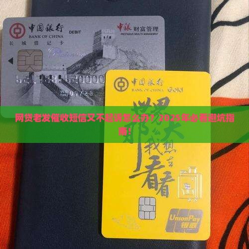 网贷老发催收短信又不起诉如何应对