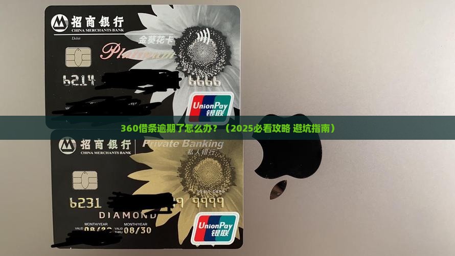 上海360借条逾期后的解决办法