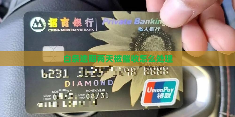 白条逾期两天被催收怎么处理