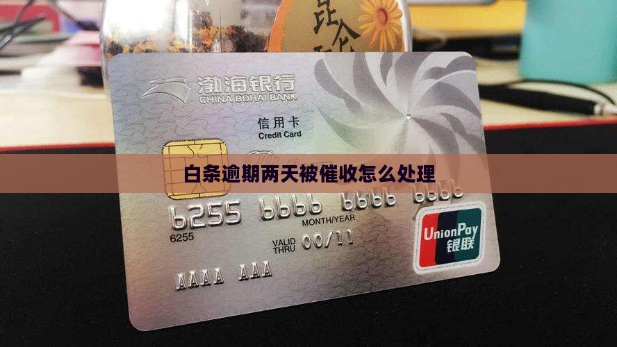 白条逾期两天被催收怎么处理