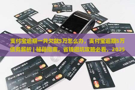 支付宝逾期一共欠款5万怎么办