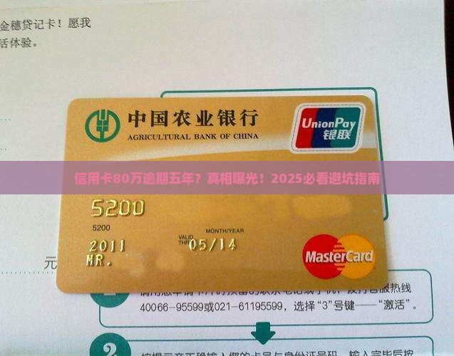 信用卡80万逾期五年