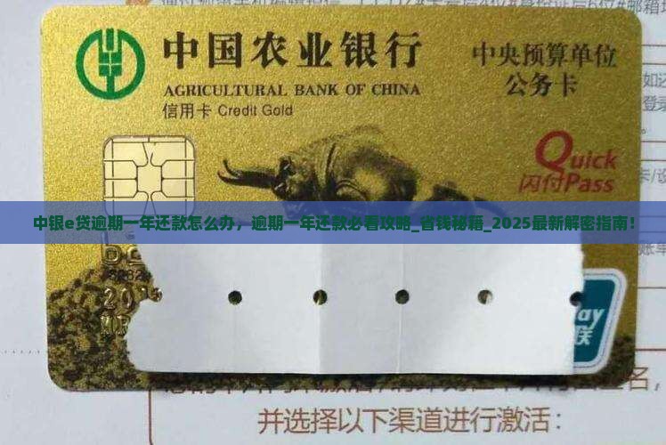 中银e贷逾期一年还款怎么办