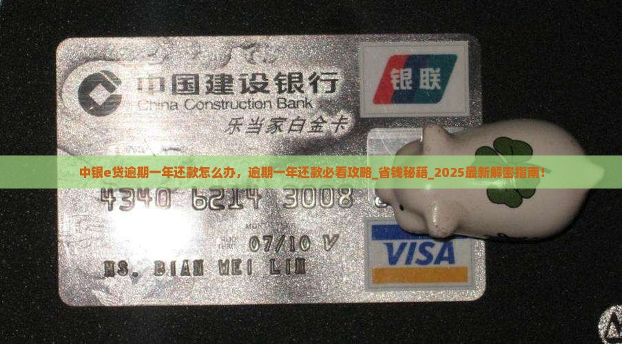 中银e贷逾期一年还款怎么办