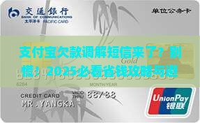 支付宝欠款调解通知短信应该如何处理