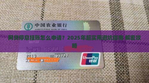 网贷停息挂账的申请流程专业建议