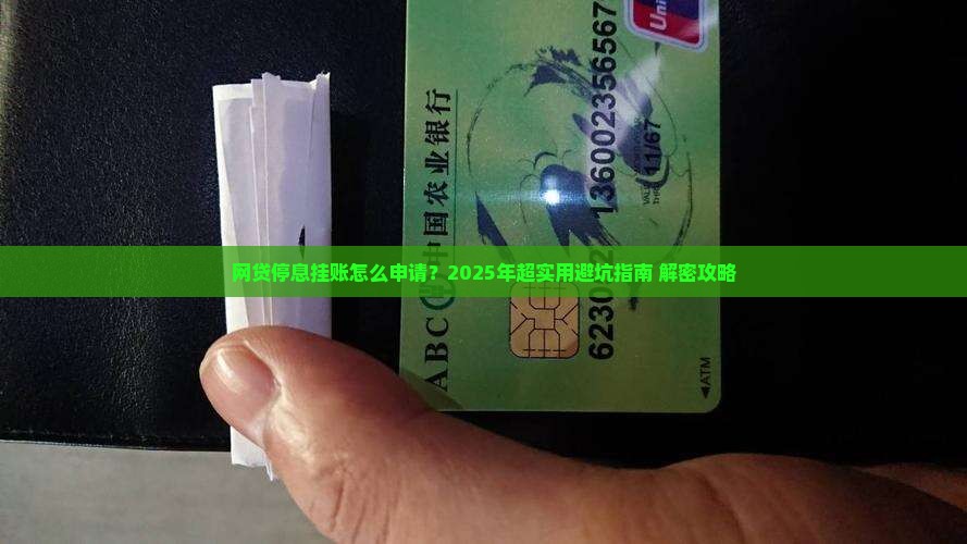 网贷停息挂账的申请流程专业建议