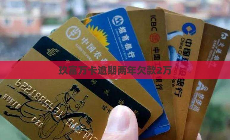玖富万卡2万逾期2年