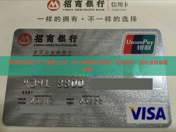 网贷被起诉还不了款怎么办