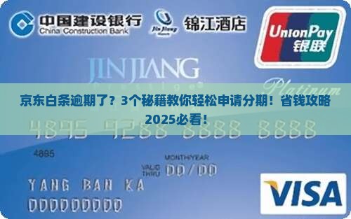 京东白条逾期如何申请分期付款