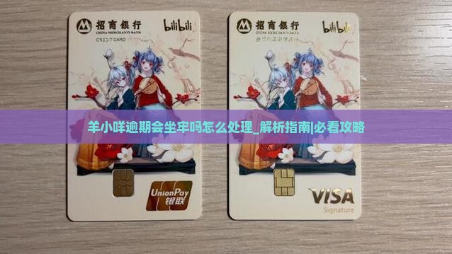 羊小咩逾期会坐牢吗怎么处理
