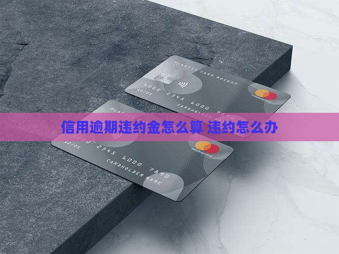 信期贷逾期违约金