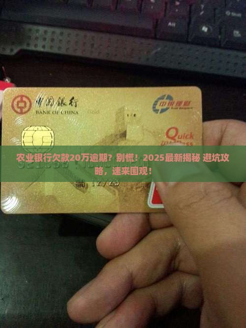 农业银行欠款二十万逾期会怎么处理