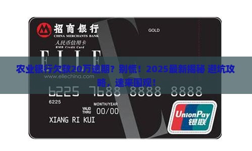 农业银行欠款二十万逾期会怎么处理