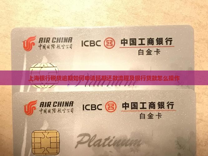 上海银行税贷怎么申请延期还款