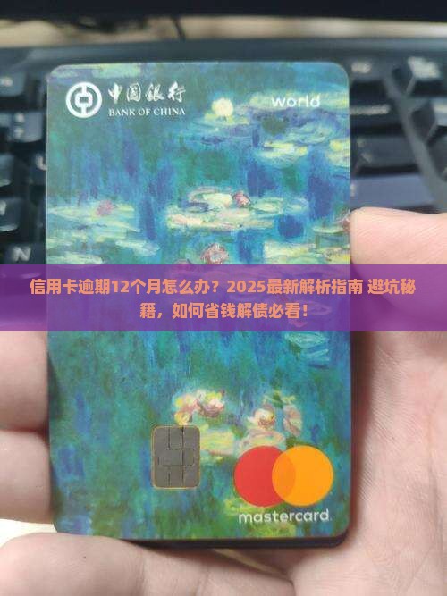 信用卡逾期12个月怎么办