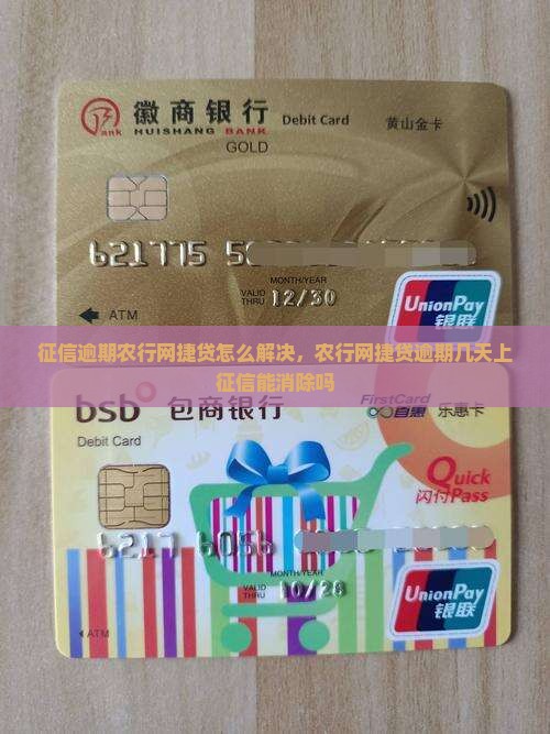 征信逾期农行网捷贷怎么解决