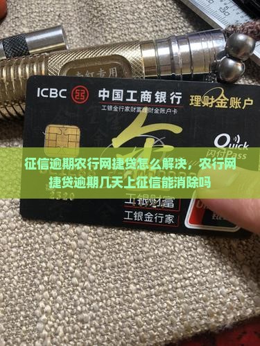 征信逾期农行网捷贷怎么解决