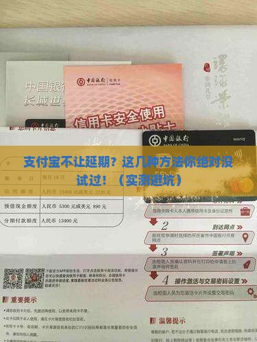 支付宝不让延期怎么解决
