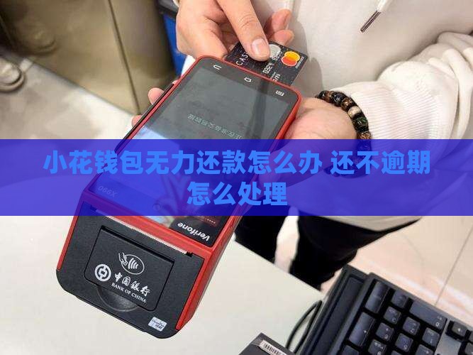 小花钱包没有偿还能力怎么办