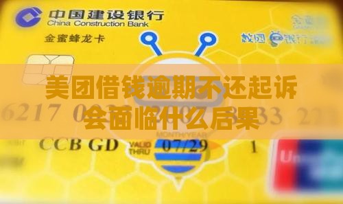 美团借钱不还起诉会面临什么后果