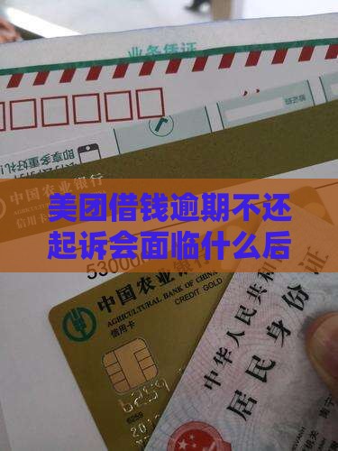 美团借钱不还起诉会面临什么后果