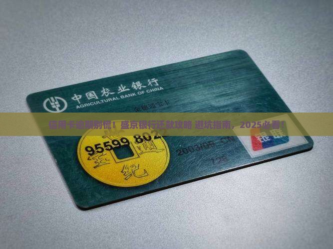 盛京银行信用卡逾期之后如何正确还款