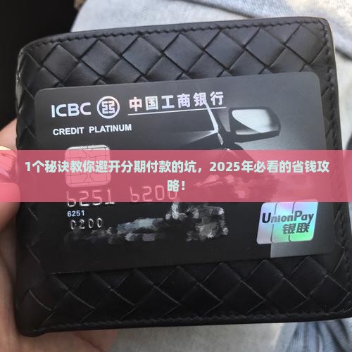 什么是个性化分期支付方式