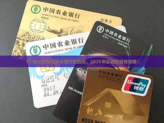 什么是个性化分期支付方式