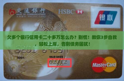 欠多个银行信用卡二十多万怎么办