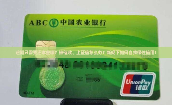 逾期只需要还本金嘛怎么办保持信用