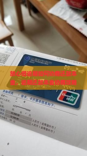 放心借逾期如何协商还款本金
