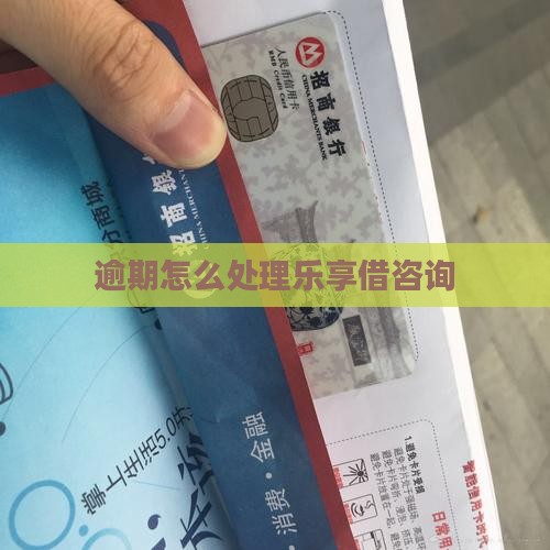 乐享借逾期咨询