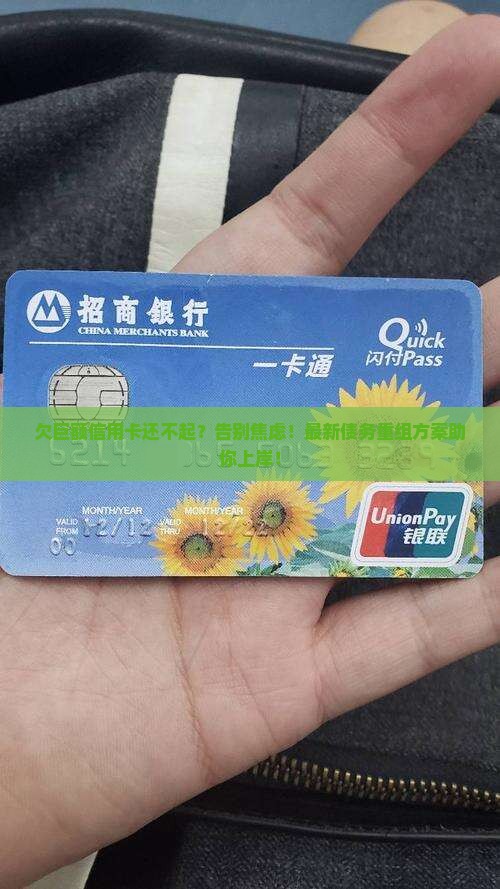欠巨额信用卡还不起