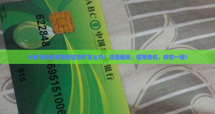 小额贷款逾期发短信恐吓怎么办