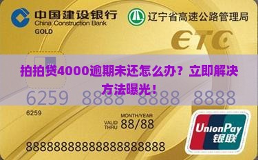 拍拍贷4000逾期未还怎么办