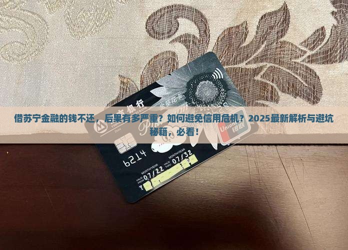 借苏宁金融的钱不还会有什么后果
