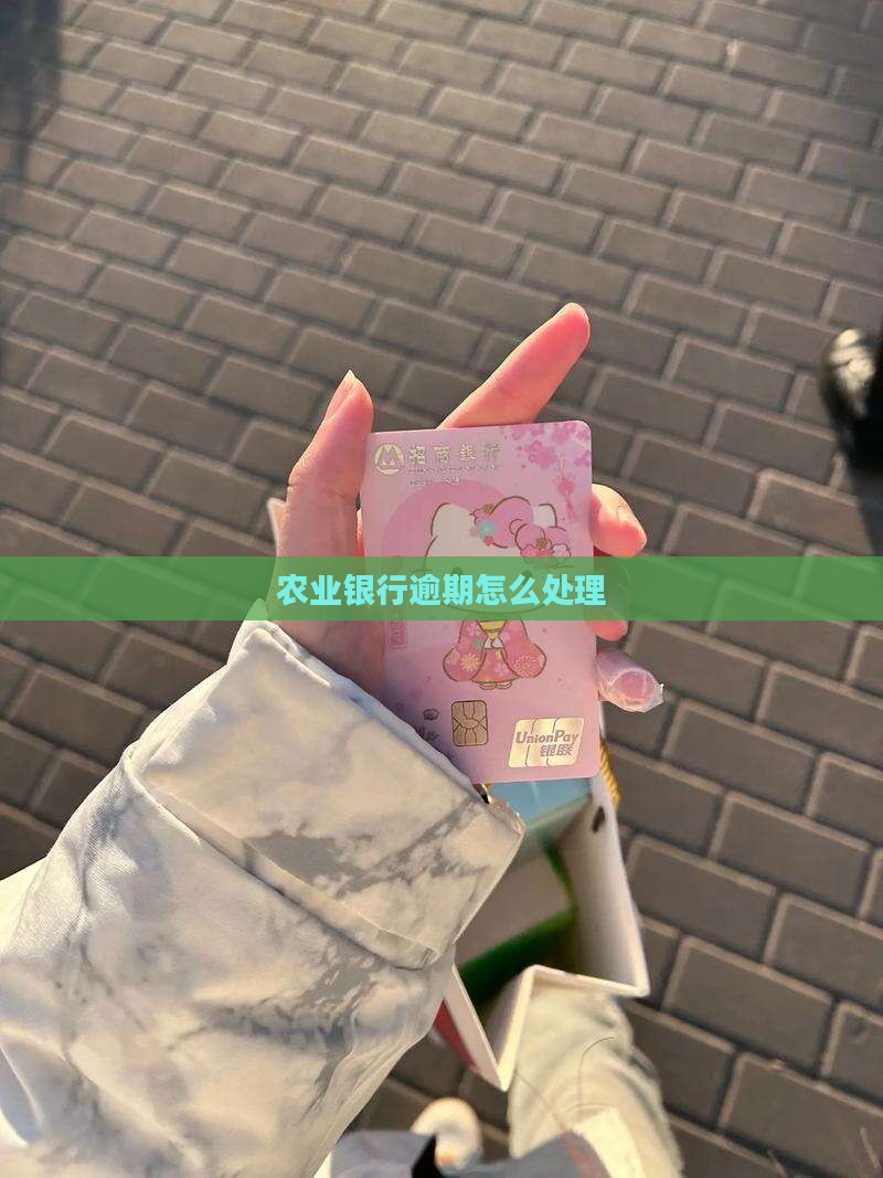 农业银行欠款逾期处理方式