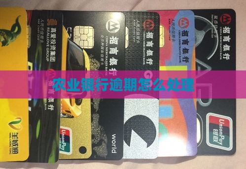 农业银行欠款逾期处理方式