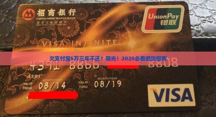 欠支付宝5万三年不还怎么办
