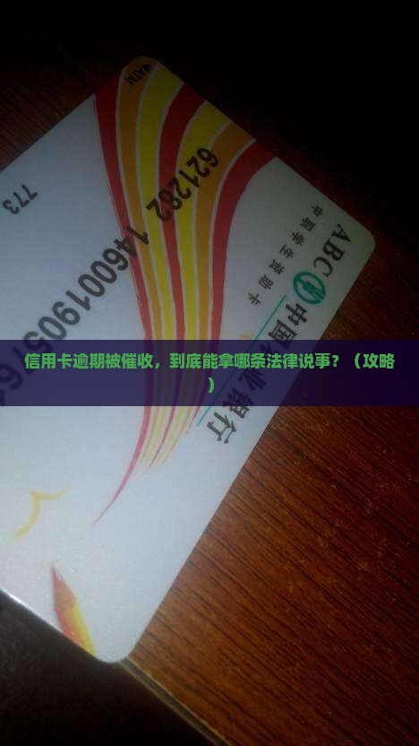 信用卡逾期的催收可以说哪条法律