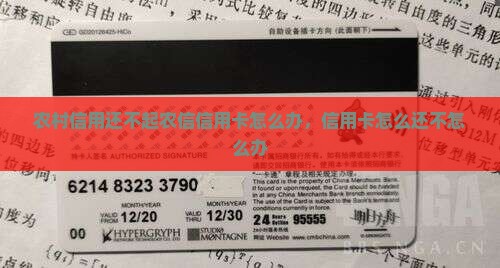 还不起农信信用卡怎么办